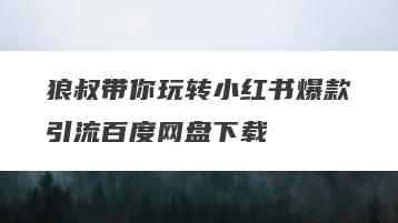 狼叔带你玩转小红书爆款引流百度网盘下载