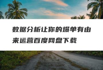 数据分析让你的爆单有由来运营百度网盘下载