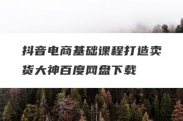 抖音电商基础课程打造卖货大神百度网盘下载