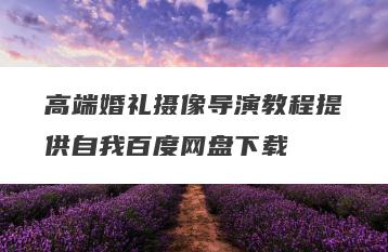 高端婚礼摄像导演教程提供自我百度网盘下载