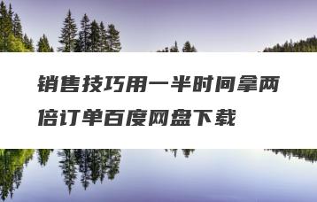销售技巧用一半时间拿两倍订单百度网盘下载