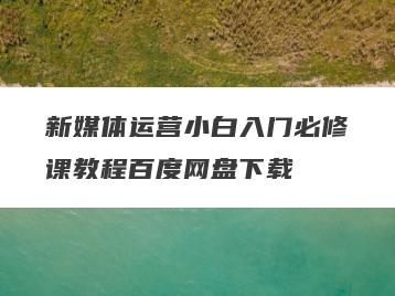 新媒体运营小白入门必修课教程百度网盘下载