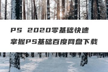 PS 2020零基础快速掌握PS基础百度网盘下载