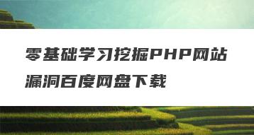 零基础学习挖掘PHP网站漏洞百度网盘下载