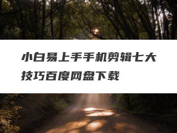 小白易上手手机剪辑七大技巧百度网盘下载