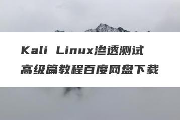 Kali Linux渗透测试高级篇教程百度网盘下载