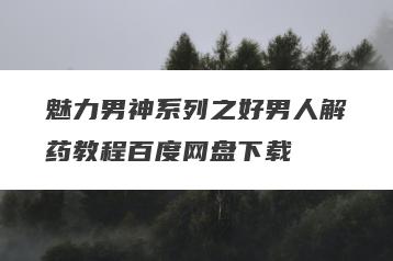 魅力男神系列之好男人解药教程百度网盘下载