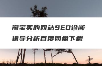 淘宝买的网站SEO诊断 指导分析百度网盘下载