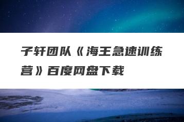 子轩团队《海王急速训练营》百度网盘下载