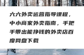 六六外卖运营指导课程，中小商家外卖指南，手把手带出能挣钱的外卖店百度网盘下载