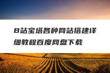 B站宝塔各种网站搭建详细教程百度网盘下载