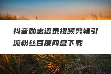 抖音励志语录视频剪辑引流粉丝百度网盘下载