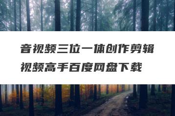 音视频三位一体创作剪辑视频高手百度网盘下载