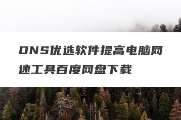 DNS优选软件提高电脑网速工具百度网盘下载