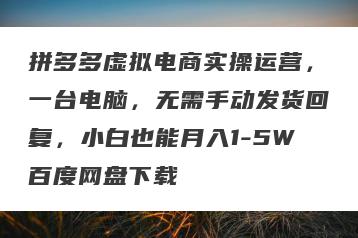 拼多多虚拟电商实操运营，一台电脑，无需手动发货回复，小白也能月入1-5W百度网盘下载