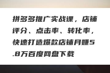 拼多多推广实战课，店铺评分、点击率、转化率，快速打造爆款店铺月赚5.8万百度网盘下载