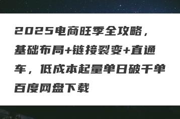 2025电商旺季全攻略，基础布局+链接裂变+直通车，低成本起量单日破千单百度网盘下载