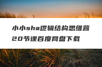 小小sha逻辑结构思维营20节课百度网盘下载