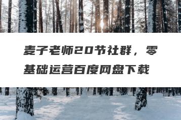 麦子老师20节社群，零基础运营百度网盘下载