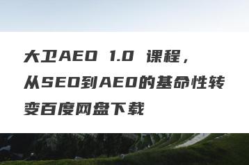 大卫AEO 1.0 课程，从SEO到AE0的基命性转变百度网盘下载