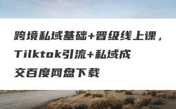 跨境私域基础+晋级线上课，Tilktok引流+私域成交百度网盘下载