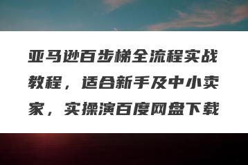 亚马逊百步梯全流程实战教程，适合新手及中小卖家，实操演百度网盘下载