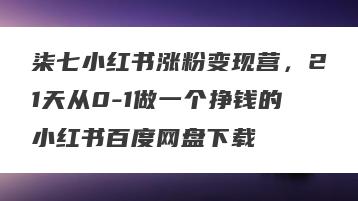 柒七小红书涨粉变现营，21天从0-1做一个挣钱的小红书百度网盘下载