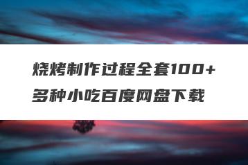 烧烤制作过程全套100+多种小吃百度网盘下载