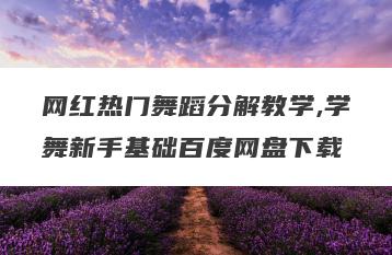 网红热门舞蹈分解教学,学舞新手基础百度网盘下载
