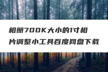 相册700K大小的1寸相片调整小工具百度网盘下载