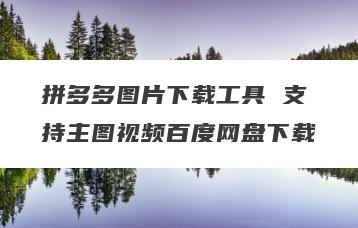 拼多多图片下载工具 支持主图视频百度网盘下载