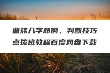 曲炜八字命例、判断技巧点拨班教程百度网盘下载