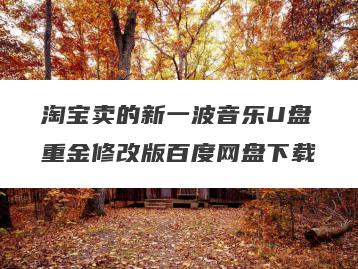 淘宝卖的新一波音乐U盘重金修改版百度网盘下载