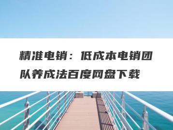 精准电销：低成本电销团队养成法百度网盘下载