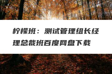 柠檬班：测试管理组长经理总裁班百度网盘下载