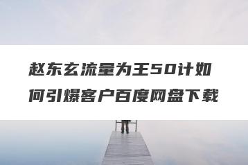赵东玄流量为王50计如何引爆客户百度网盘下载