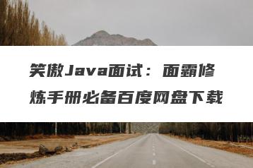 笑傲Java面试：面霸修炼手册必备百度网盘下载