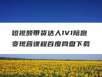短视频带货达人1V1陪跑变现营课程百度网盘下载