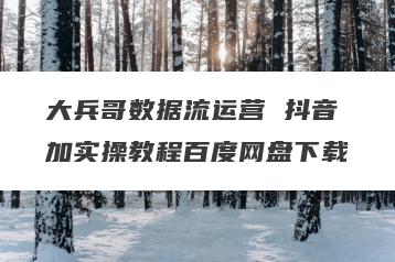 大兵哥数据流运营 抖音加实操教程百度网盘下载