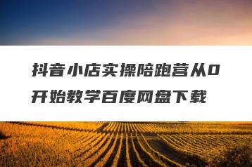 抖音小店实操陪跑营从0开始教学百度网盘下载