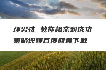 坏男孩 教你相亲到成功策略课程百度网盘下载