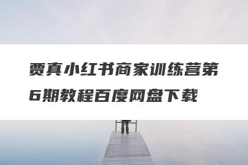 贾真小红书商家训练营第6期教程百度网盘下载