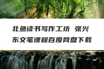 北鱼读书写作工坊 张兴东文笔课程百度网盘下载