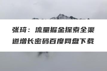 张琦：流量掘金探索全渠道增长密码百度网盘下载