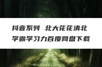 抖音系列 北大花花清北学霸学习力百度网盘下载