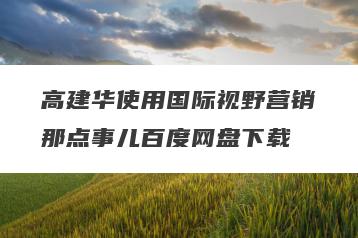高建华使用国际视野营销那点事儿百度网盘下载