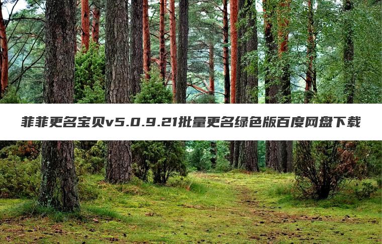 菲菲更名宝贝v5.0.9.21批量更名绿色版百度网盘下载