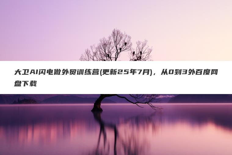 大卫AI闪电做外贸训练营(更新25年7月)，从0到3外百度网盘下载