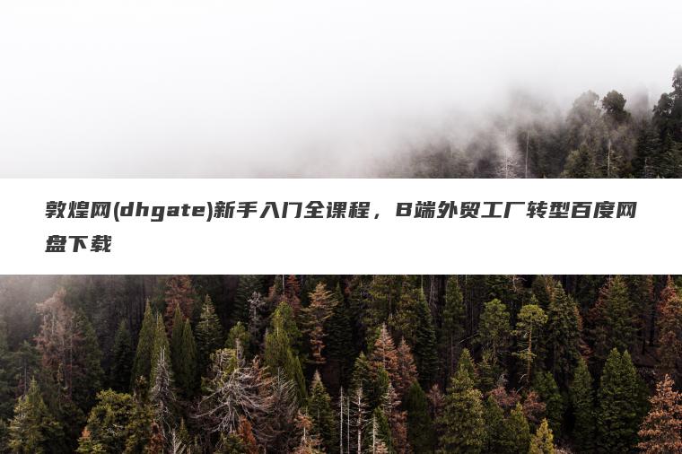 敦煌网(dhgate)新手入门全课程，B端外贸工厂转型百度网盘下载