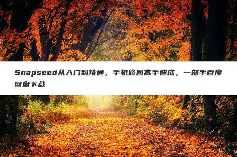 Snapseed从入门到精通，手机修图高手速成，一部手百度网盘下载